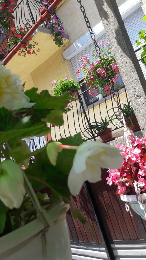 Guest Rooms Ider Saparewa Banja Zewnętrze zdjęcie